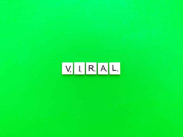 les conseils pour créer une une vidéo virale dans votre stratégie de marketing vidéo